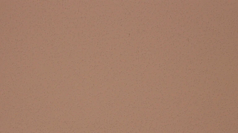 495 C