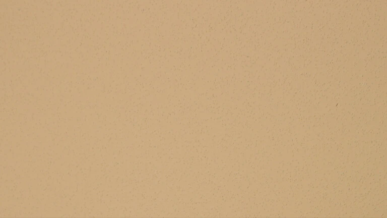 495 E 