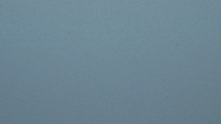 525 B