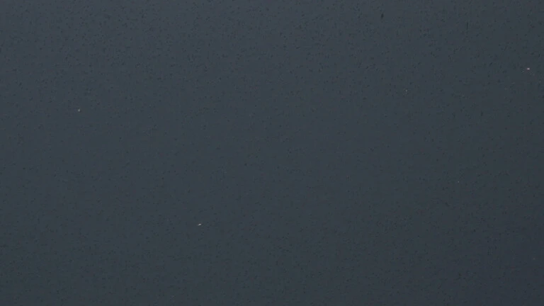 545 B