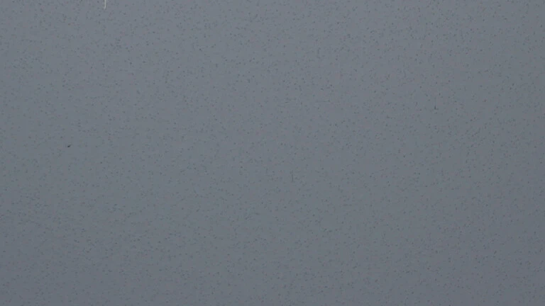545 D