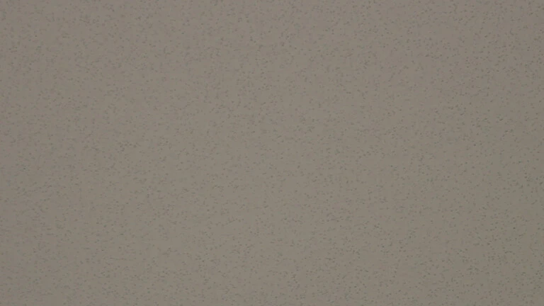 081 U